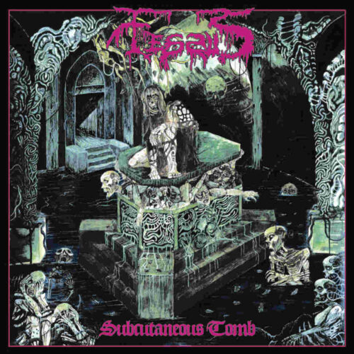 Fessus „Subcutaneous Tomb” (recenzja)